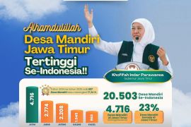 Jatim tempati peringkat tertinggi nasional jumlah desa mandiri