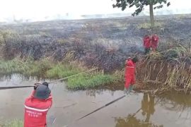 Sumsel perkuat strategi cegah karhutla melalui Desa Peduli Api dan sistem peringatan dini