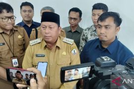 Bupati H Bahrul Ilmi perjuangkan kebutuhan pupuk petani Batola