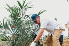 PTPN IV Regional III Remajakan 949,6 Ha Sawit Tua Demi Keberlanjutan Produksi