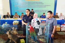 BKSDA Aceh pastikan barang bukti satwa titipan dalam kondisi aman