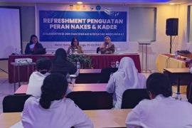 Dinkes-Unicef Papua perkuat peran nakes Jayapura menurunkan angka stunting