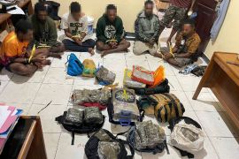 Ditpolair Polda Papua gagalkan penyelundupan 100 paket ganja PNG