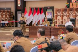 Pemkab Kapuas bersinergi dengan Pemprov Kalteng tingkatkan PAD