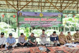 Penyuluh Pertanian Swadaya harapkan insentif dari Pemkab Tabalong