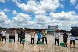 Ketua DPRD Batang Hari dukung penuh pemkab terkait sektor pertanian