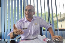 Pemprov Papua siap mendukung pembangunan PLTMH ramah lingkungan di Pulau Yapen