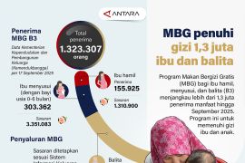 MBG penuhi gizi 1,3 juta ibu dan balita