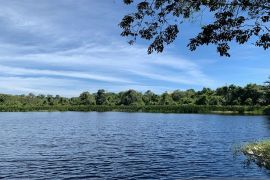 Hobi mancing di Bengkulu, ini 7 spot gacor ikan sungai, muara hingga laut