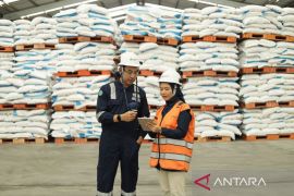 Pupuk Indonesia perkuat peran dukung swasembada pangan era Prabowo-Gibran