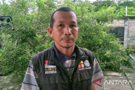Puluhan ribu pekerja sawit di Bangka butuh perlindungan sosial