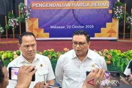 Satgas Pangan Sulsel asistensi HET beras di Palopo dan Enrekang