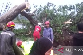 PMI Cianjur bersama relawan gabungan membuka kembali jalur Mande-Cianjur