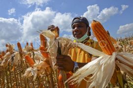 Terpopuler: Lingkar Mandalika diterjang banjir, harga emas Antam, hingga produksi jagung di Mataram anjlok