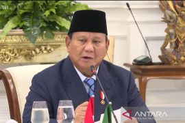 Indonesia pushes for economic partnership with Mercosur