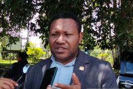 Senator Papua soroti dampak dari desentralisasi terhadap fiskal di daerah