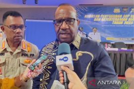 Pemprov Papua minta warga bijak sikapi polemik pembakaran aksesoris burung cenderawasih