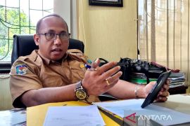 Papua Barat target perda pengelolaan kayu log disahkan akhir tahun 2025