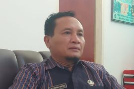 Lombok Timur kembangkan budi daya porang lewat bantuan bibit