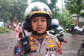 Hujan Deras & Angin Kencang, Jalur Utama Cianjur Kembali Normal!