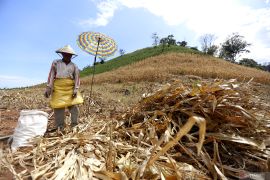 BPS: Pertanian sektor strategis bagi perekonomian Gorontalo