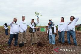 PT SAS dan group rehabilitasi hutan gambut seluas dua ribu hektar