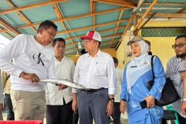 Senator Irman Gusman dukung percepatan Kampung Nelayan Merah Putih di Tiku Agam
