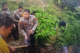 Jasad bayi perempuan terpisah tiga bagian ditemukan di bibir Ngarai Sianok, Bukittinggi