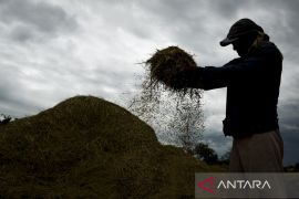 Sektor pertanian sumbang PDB tertinggi