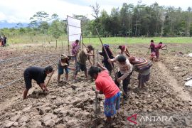 Polres Jayawijaya perkuat program nasional swasembada pangan Distrik Hubikosi