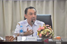 Pemkab Agam lakukan dua strategi dampak pemotongan dana transfer pusat