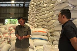 Bulog Sumut: Penyaluran jagung SPHP ke peternak telur capai 58 persen