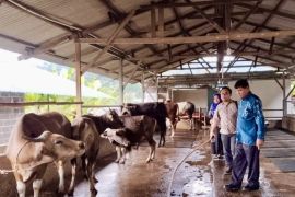 DKPP Batam perketat pengawasan obat hewan untuk pastikan keamanan produk