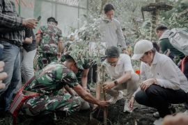 Pemkab Badung tanam 4.400 bibit pohon dukung Gerakan Semesta Berencana