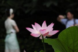 Perpaduan Roti dan Pengobatan Tradisional China Makin Populer di China