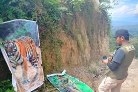 Warga Koto Tinggi Agam gunakan spanduk harimau antisipasi ganggu hama tanaman (Video)