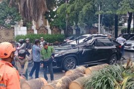 Pengemudi Lexus tewas tertimpa pohon tumbang di Pondok Indah