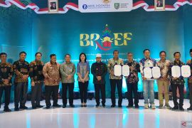 Bank Indonesia: Bengkulu tahan guncangan global, iklim usaha kondusif