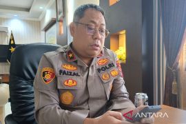 Satgas Damai Cartenz tangkap KKB penembak anggota Polisi di Tiom Lanny Jaya