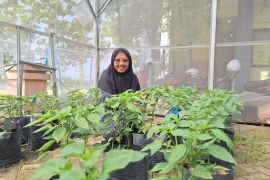 Akademisi minta pemdes dan poktan ikut awasi distribusi pupuk subsidi