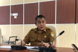 Realisasi investasi di Sumsel tembus Rp49,82 triliun hingga triwulan III