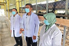 BRMP dan Lapas Gorontalo siap kembangkan peternakan ayam