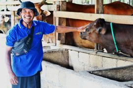 Kisah Desa Mukti Sari Menjemput Energi dari Limbah