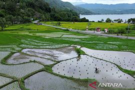 Pertashop mengalirkan energi ke pelosok Page 3 Small