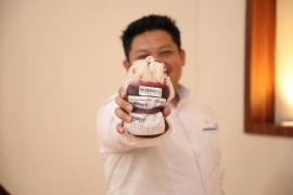 PLN Sumut kumpulkan 124 kantor darah hasil donor semarak HLN ke-80