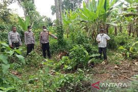 Polisi ungkap identitas tulang belulang manusia di OKU Selatan