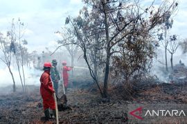 BPBD Muara Enim Sumsel padamkan karhutla di Sungai Rotan agar tidak meluas