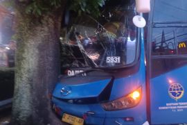 Bus Damri tabrak pohon di Jalan Setiabudi Bandung gara-gara hindari motor