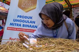 Dari sawah ke botol parfum, inovasi bioetanol jerami padi