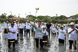 Wapres tanam bibit bakau dukung pemulihan pesisir Banten